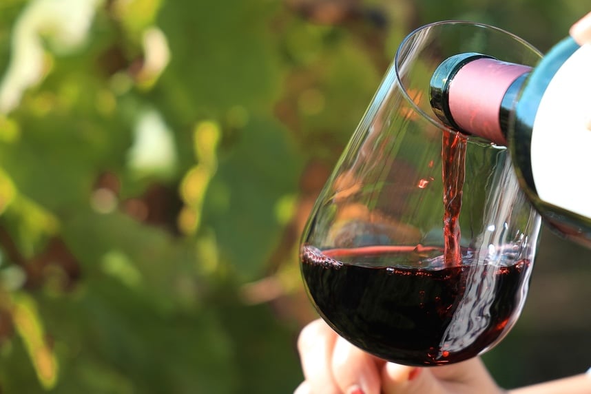 Syrah-Wein: Geschichte, Eigenschaften und Kombinationen Syrah-Wein: Geschichte, Eigenschaften und Kombinationen